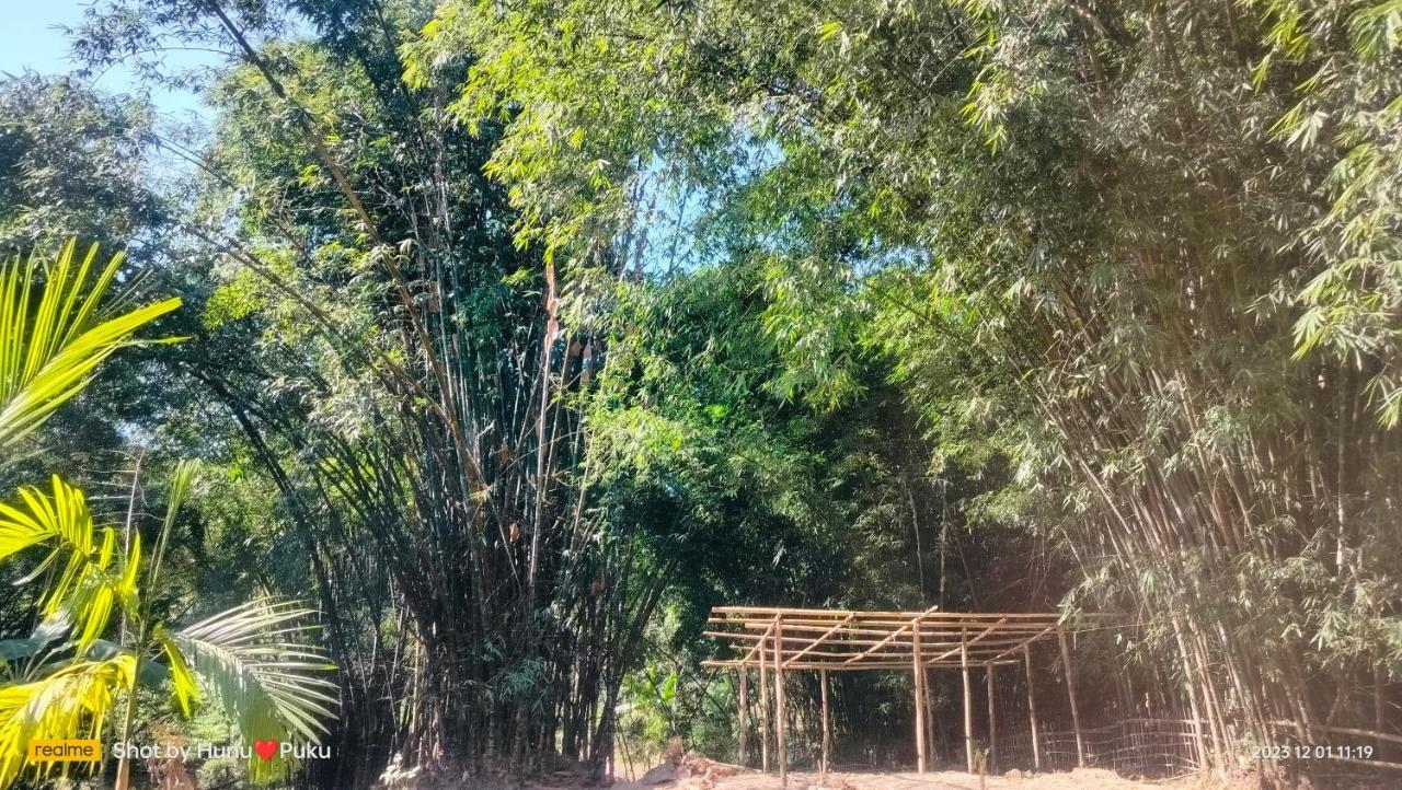 Tranquil Bambusic Bliss Villa Kaziranga Luaran gambar