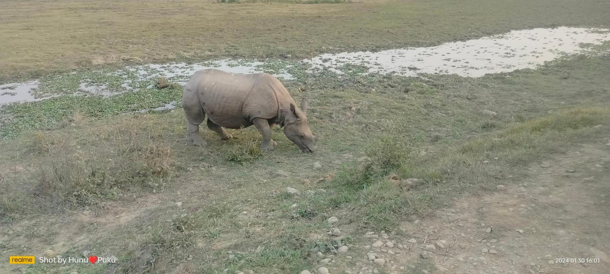 Tranquil Bambusic Bliss Villa Kaziranga Luaran gambar