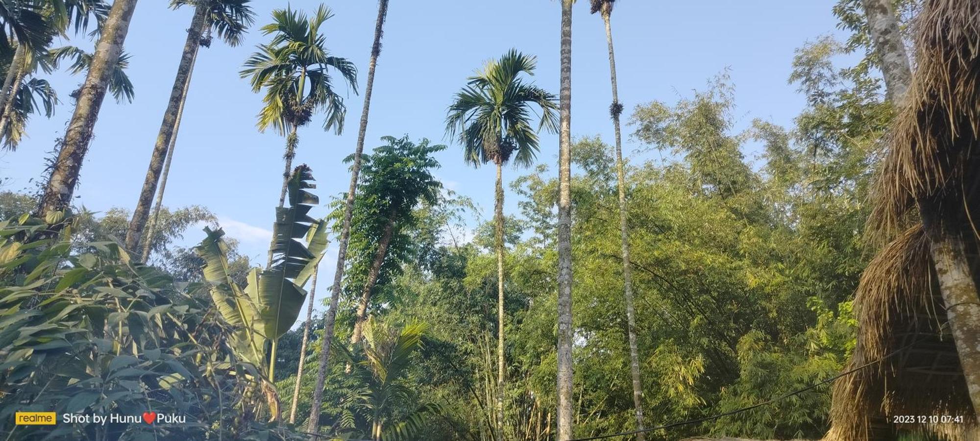 Tranquil Bambusic Bliss Villa Kaziranga Luaran gambar