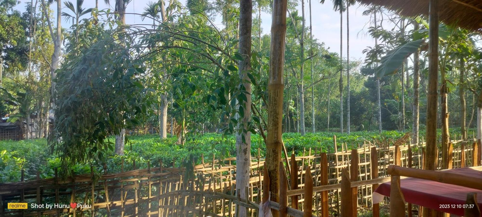 Tranquil Bambusic Bliss Villa Kaziranga Luaran gambar