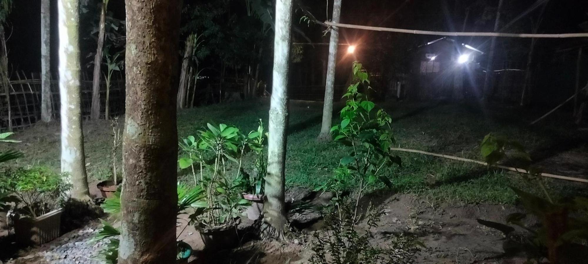 Tranquil Bambusic Bliss Villa Kaziranga Luaran gambar